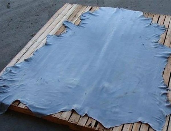 CUEROS WETBLUE