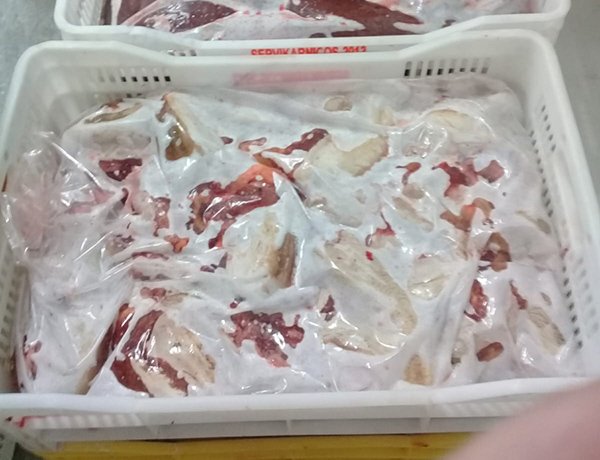 CARNES